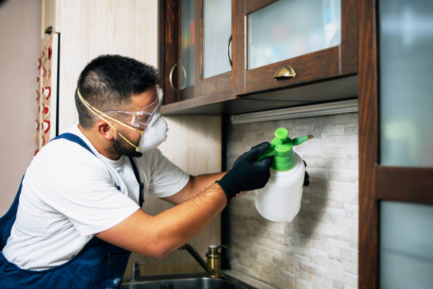 Best Exterminator Services  in Baywood Park, CA