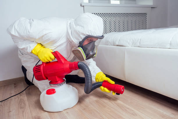 Flea Control Services in Baywood Park, CA