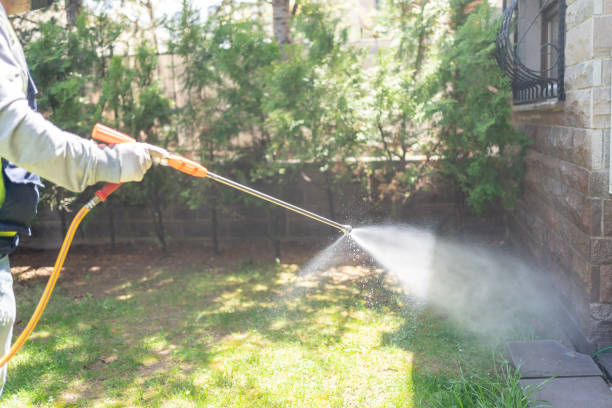 Best Pest Control for Businesses  in Baywood Park, CA